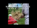 Corn Rootworm Damage Evaluation
