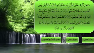 سورة يس كاملة بصوت الشيخ خالد الجليل 