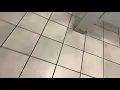 709 Walgreens Women s Restroom