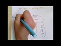 Main Idea Anchor Chart