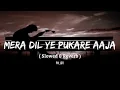 Download Lagu Mera Dil Ye Pukare Aaja Martab Ali (Slowed And Reverb) PM_LOFI