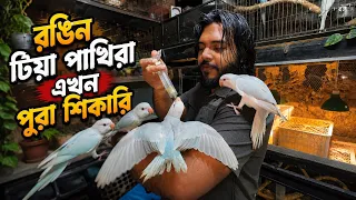 🦜 আমার বাচ্চা টিয়া পাখিদের এমন ট্রেনিং দিলাম যে ডাকলেই উড়ে আসে! #doggosage 