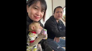 🙈🥰 #shorts_ Mom takes Zim to drink coffee with you