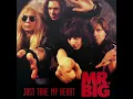 Download Lagu Mr. Big - Just Take My Heart (live version) 1992