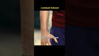 Every Student At This School Can Transform Into An Animal 