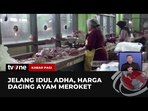 Harga Daging Ayam Terus Merangkak Naik Jelang Idul Adha