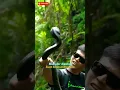 Download Lagu Kenapa Orang Memerah Bisa Ular? Jawabannya Mengejutkan!
