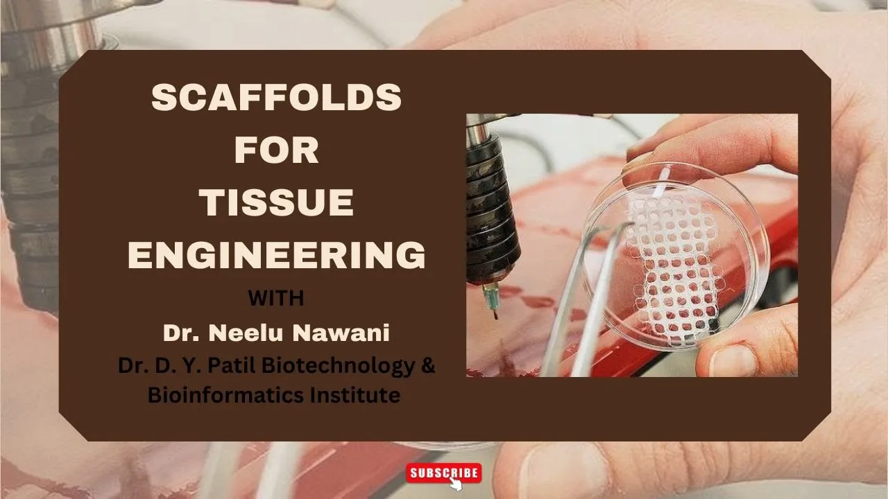 Scaffolds for Tissue Engineering || Biotechnology