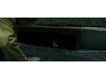 See IT in Cinemark XD