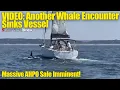 Download Lagu VIDEO: Nieuwe walvisaanval laat zeiljacht zinken | Enorme verkoop van superjacht Ahpo | SY News E521