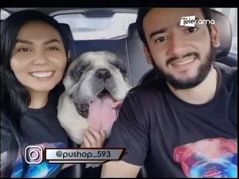 Pushop: Prendas personalizadas para dueños de mascotas