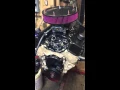 small block Chevy 60 over 284 summit cam world product sportsman 2 heads