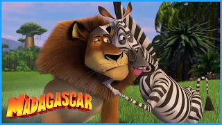 DreamWorks Madagascar Alex and Nature Madagascar Kids Movie