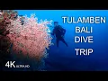 Vlog #53 Bali Tulamben Dive trip April 2023/ 4K