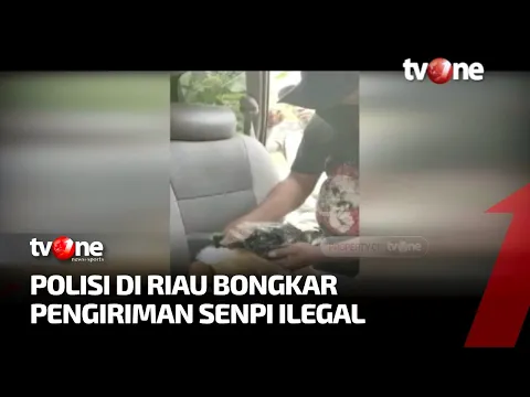 Polisi Gagalkan Pengiriman Senjata Api Ilegal di Paket Boneka