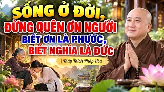 SỐNG Ở ĐỜI, ĐỪNG QUÊN ƠN NGƯỜI – BIẾT ƠN LÀ PHƯỚC, BIẾT NGHĨA LÀ ĐỨC | Thầy Thích Pháp Hòa