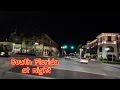 Lagu Driving south Florida at night 4k video