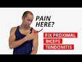 Download Lagu 4 Exercises to Fix Proximal Biceps Tendinopathy Pain (DON'T STRETCH!)