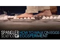 Download Lagu How to Walk on Eggs Eggsperiment - Cool Science Experiment