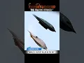 Download Lagu “World’s Fastest Killer in the Sky – Peregrine Falcon ! 🦅  #Wildlife,#TrendingFactsvideos