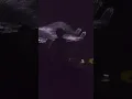 陳蕾 Panther Chan - 空無之地 | 《完整的我》音樂會2026尾場