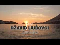Download Lagu DŽAVID LJUBOVCI - Zauvijek [Official Video 2023]
