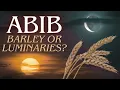 HEBREW NEW YEAR BARLEY OR HEAVENLY LIGHTS Observing Abib - How To Calculate Calendar