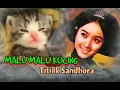 Download Lagu MALU MALU KUCING - Titiek Sandhora