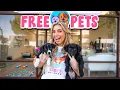 I OPENED A FREE PET STORE