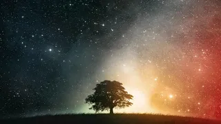 سهل ياسين سورة الكهف 