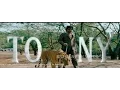 kannada new songs|  Tony Kannada Movie | Title Song - Aindrita Ray, Srinagar Kitty Mp3 Song Download