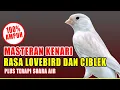 Download Lagu MASTERAN KENARI ISIAN LOVE BIRD DAN CIBLEK SUARA JERNIH COCOK UNTUK KENARI PAUD ATAU KENARI ANAKAN