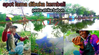 Download Edan broo..!! titik kumpul nila babon di lapak ini auto panen strike MP3