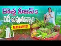 Download Lagu Farm Harvest/ఆకకర మొక్కలు సీజన్ రాగానే ఎలా వచ్చాయో చూడండి @MADGARDENER  #gardening