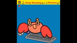 حیران کن تصویریں Deep Meaning Pictures Part 8 Mudassir Talks 