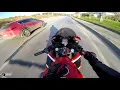 Dog Attacked in the Forest - MotoVlog#179