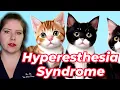 Download Lagu Vet Advice on Identifying and Treating Feline Hyperesthesia Syndrome