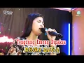 Download Lagu Tengdung Emong Dipaksa - Dewi Diva - Kajjole Pantura Live Studio Season
