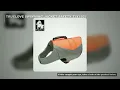 Truelove Pet Swimming Life Jacket Safety Vest for Dog in Summer Fashion Adjustable Reflective in Poo