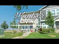 1688 Grand Avenue 1 Windsor CO 80550 - Virtual Tour