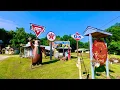This bizarre collection of old Americana is still sitting in Arkansas