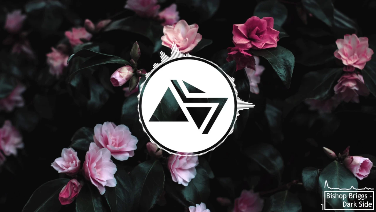 Bishop Briggs - Dark Side