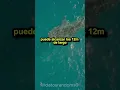Download Lagu Sabias que…Day 3…. #random #dato #datorandom#tiktok#fyp#shorts#short#shark#video