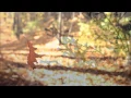 Download Lagu Autumn Leaves ~ Nat King Cole (HD) (HQ Audio) with lyrics