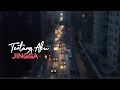 Download Lagu JINGGA - Tentang Aku ( Lirik ) HQ Audio