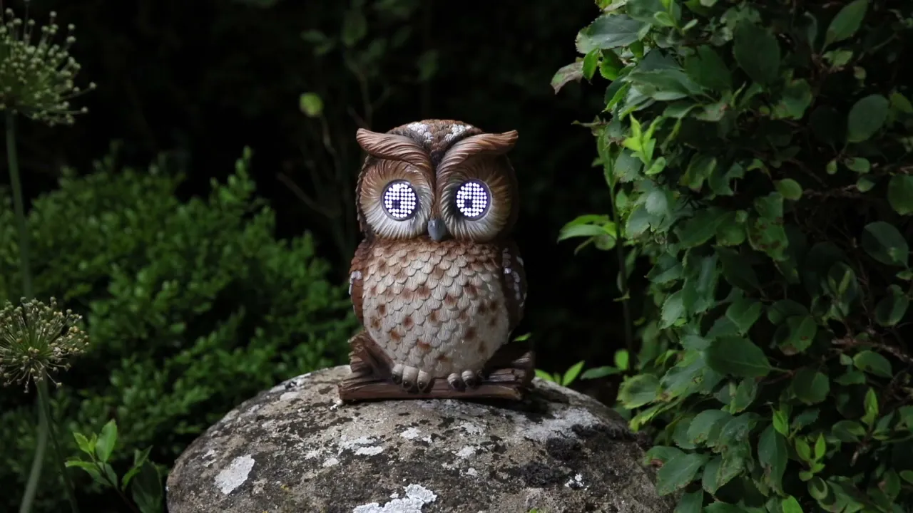 Blinkin' Owl