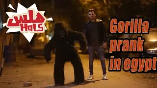                        دندنها