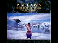 Set Adrift On Memory Bliss - P.M. Dawn