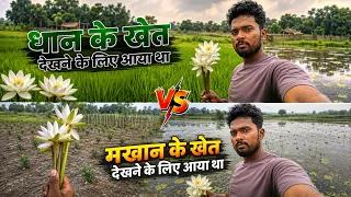धान के खेत देखने के लिए आया हूं  vs  मखान के खेत देखने के लिए आया था |Dehati Vlogs || #vlog #vlogger