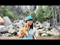 DOG FRIENDLY Spots at YOSEMITE National Park with Penny Kloud